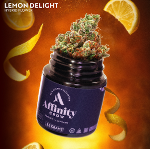 AFFINITY - Lemon Delight Flower 3.5 00709