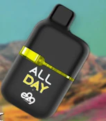 E29 Labs - All Day - Mango Haze - 1g - AIO Disposable