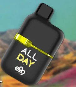 E29 Labs - E29 Labs - All Day - Mango Haze - 1g - AIO Disposable Main Image