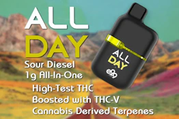 E29 Labs - All Day - Sour Diesel - 1g - AIO Disposable