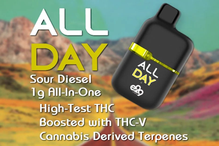 E29 Labs - E29 Labs - All Day - Sour Diesel - 1g - AIO Disposable