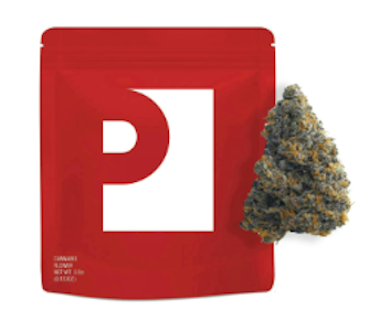 Preferred Gardens - Crash Out - 3.5G Flower