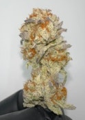 Flower | Bass River Buds | Platinum Dolato | 3.5g