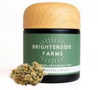  Flower | Buds | Brighterside | Blueberry Haze | 3.5g