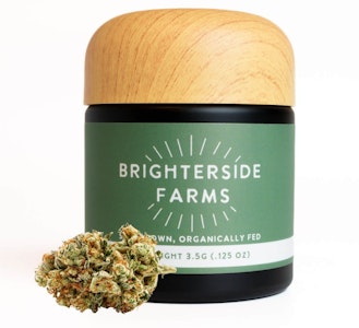 Brighterside -  Flower | Buds | Brighterside | Blueberry Haze | 3.5g