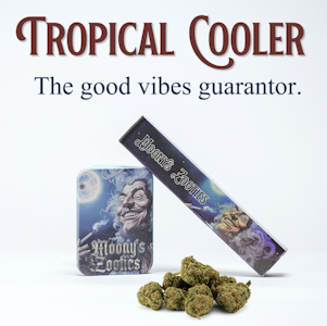 MOONY'S ZOOTIES - Tropical Cooler pre-roll | .5g
