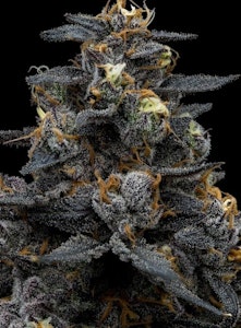 FullTilt Labs - Flower | Full Tilt | Frost Donkey | 28g