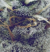 Flower | Buds | FullTilt Labs | Columbian D | 3.5g