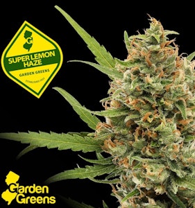 GARDEN GREENS - Flower | Mixed Nugs | Garden Greens | Super Lemon Haze | 14g 