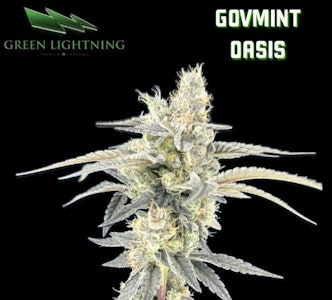 Green Lightning - Flower | Green Lightning | Govmint Oasis | 3.5g