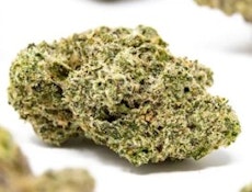 Flower | Buds | Heavyweight Heads | Sunfuel | 3.5g