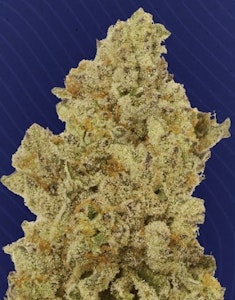 KIND TREE - Flower | Smalls | Kind Tree | Platinum Peaches | 7g