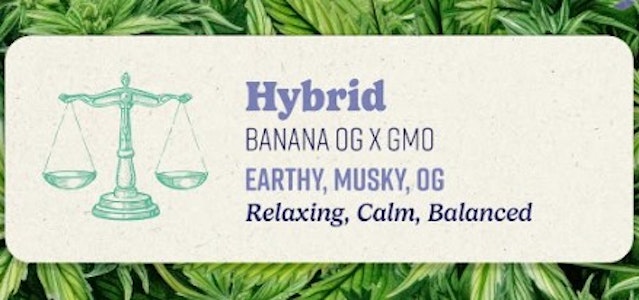 KIND TREE - Flower | Smalls | Kind Tree | Dirty Banana | 7g