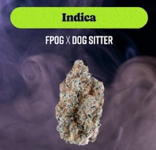 KIND TREE - Kind Tree | Grape Sitter | Smalls | 7g Flower