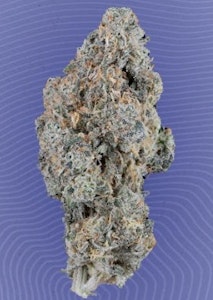 KIND TREE - [REC] Kind Tree | Durban Poison | 3.5g Flower