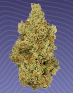 KIND TREE - Flower | Buds | Kind Tree | Peanut Butter Pie | 3.5g