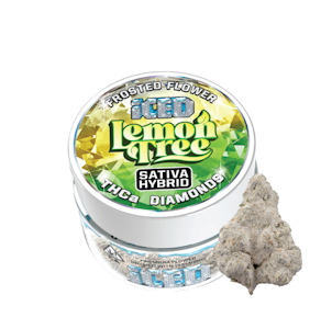ICED - Iced - Infused 3.5g - Lemon Tree