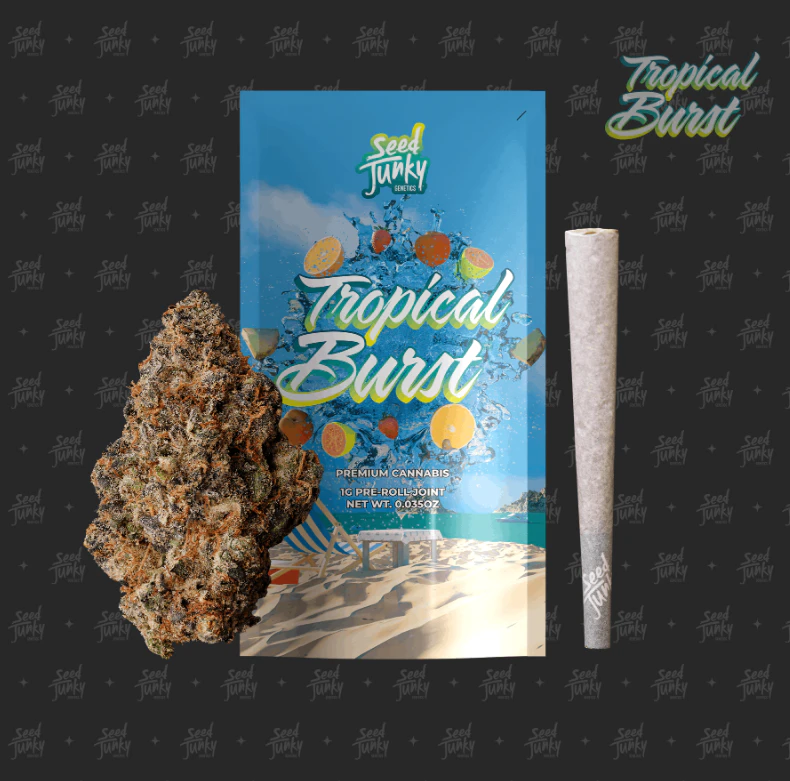 Seed Junky Genetics - Seed Junky Genetics - 1g Preroll - Tropical Burst Main Image
