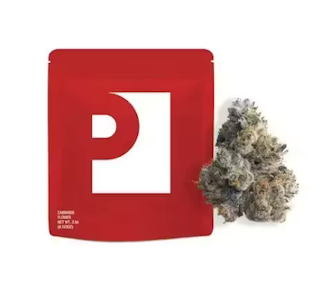 Preferred Gardens - Preferred Gardens | Flower - Durban Poisin | 3.5