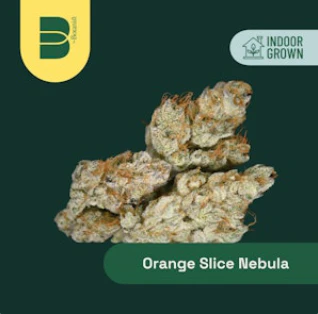 The Botanist - Orange Slice Nebula | Flower | 3.5g | Botanist Main Image