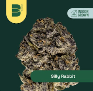 The Botanist - Silly Rabbit | Flower | 3.5g | Botanist