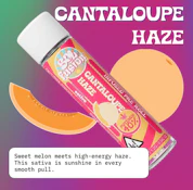 Cantaloupe Haze [S] 1.2g Infused Pre-roll Sol Fusion