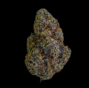 Flower | Black Maple
