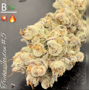 Green Leef Pharms - TRICHO JORDAN #5- PREMIUM CLONES