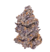 JEALOUSY- PREMIUM CLONES 