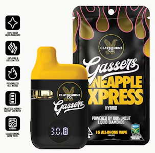 Claybourne - Claybourne - Disposable - Pineapple Express - 1G