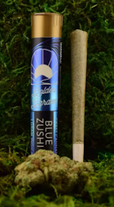 Golden garden | Pre Roll | Blue Zushi | 1G
