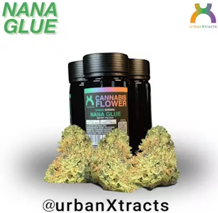 URBANXTRACTS - UrbanXtracts | Flower | Nana Glue | 14G