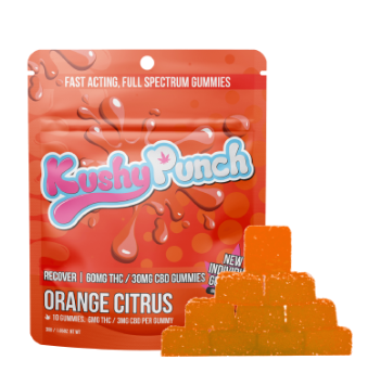 10pk Gummies Recover Orange Citrus CBD 2:1