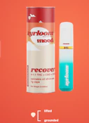 Ayrloom - Recover 1g Disposable Vape- 4:1:1 THC+CBD+CBG