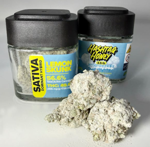 Hashtag Honey | Flower | lemon skunk | Snow | 3.5G |