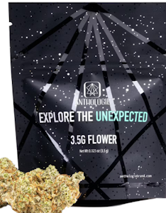 ANTHOLOGIE - Underground Tangie 3.5g