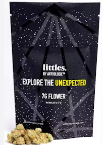 ANTHOLOGIE - Rainbow Belts 3.0 7g Littles