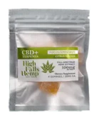 High Falls Canna - CBD - Focus/Empower - Citrus Ginger - 100mg - Edible