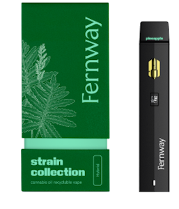FERNWAY - Fernway | Vape | Pineapple Express | AIO (T) | 1G |