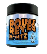 Point Reyes R*ntz - Indoor - 3.5g