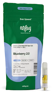 MFNY - MFNY - Blueberry 2.0 - 0.5g Live Resin Cart