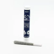 Sherbet - 1g Pre-roll (Wave Rider)