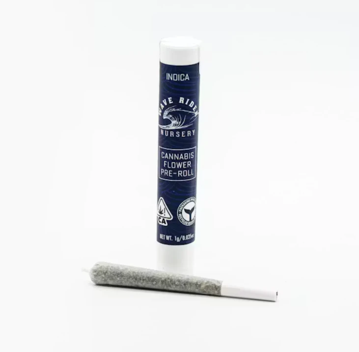 Wave Rider - Sherbet - 1g Pre-roll (Wave Rider) Main Image