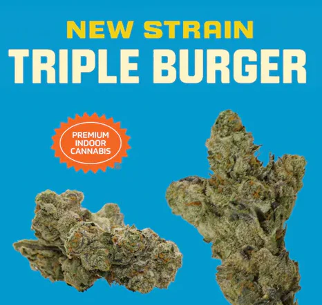 SKYWORLD - Skyworld | Flower | flame burger | 3.5G Main Image