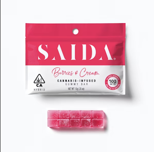 SAIDA - Saida Gummy Bar 100mg Hybrid Berries & Cream