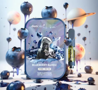 Blueberry Bandz - 1g [ H ]