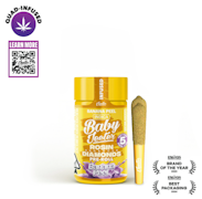 Jeeter Baby Infused 5pk Prerolls 2.5g Banana Peel