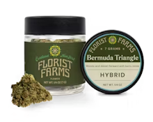 Florist Farms - Bermuda Triangle - Flower - 7g
