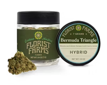 FLORIST FARMS - Florist Farms - Bermuda Triangle - Flower - 7g