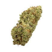 White Chocolate Chip, Sungrown